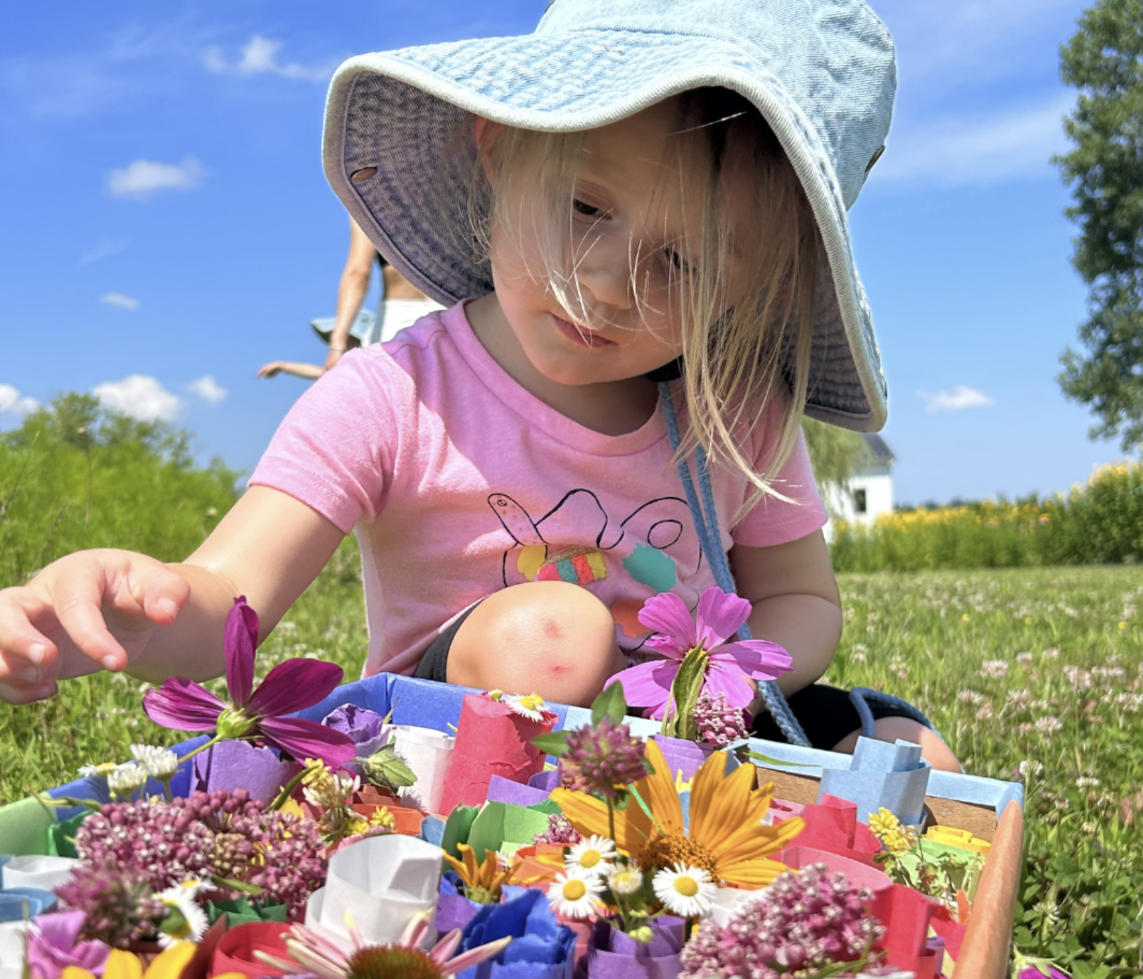 K-3: Pollinator Activity